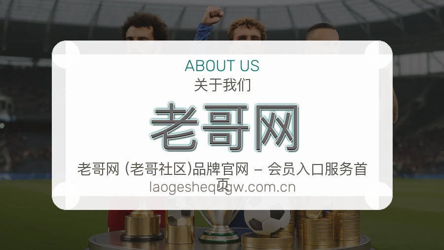 老哥网发展说明